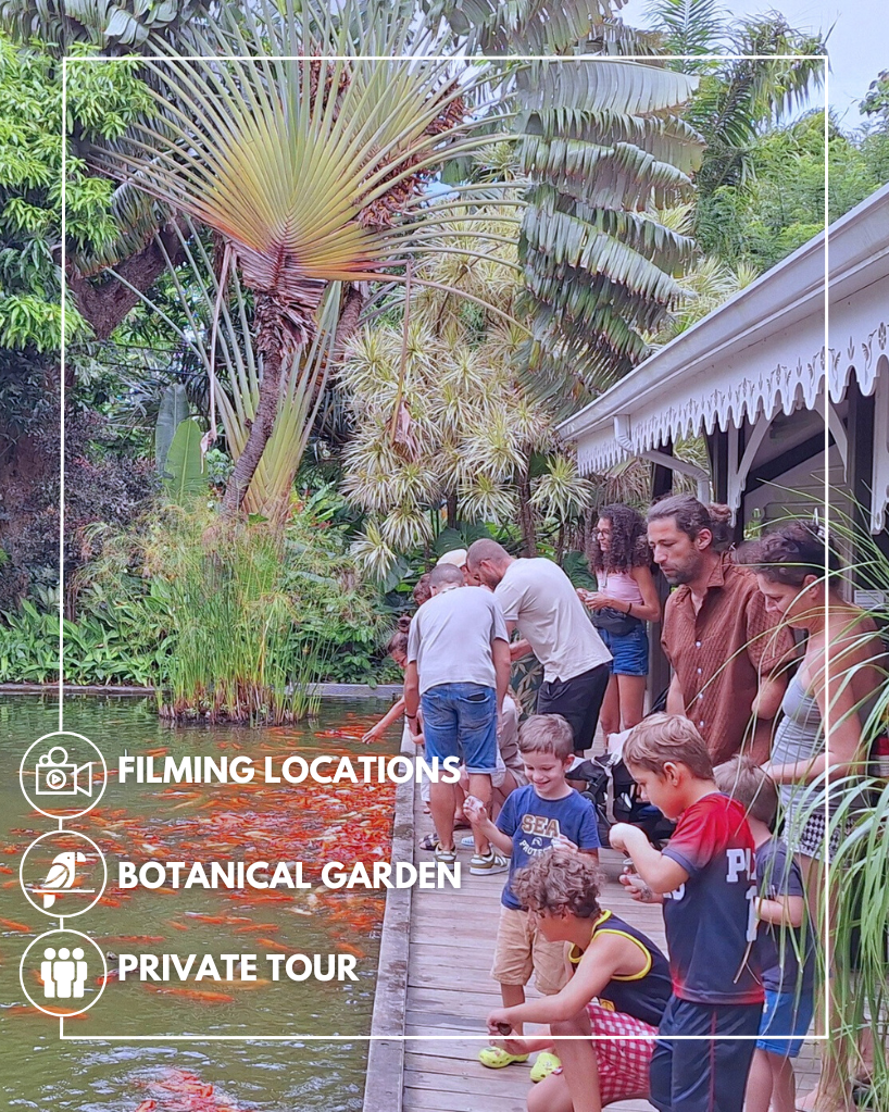 death in paradise tour from deshaies fishing ferry terminal